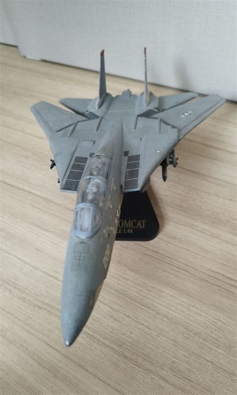 F-14 Tomcat scale 1/48, Hobbies & Toys, Toys & Games on Carousell