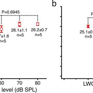 The reticular lamina and basilar membrane vibrations measured from a ...