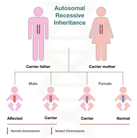 Different types of inheritance pattern