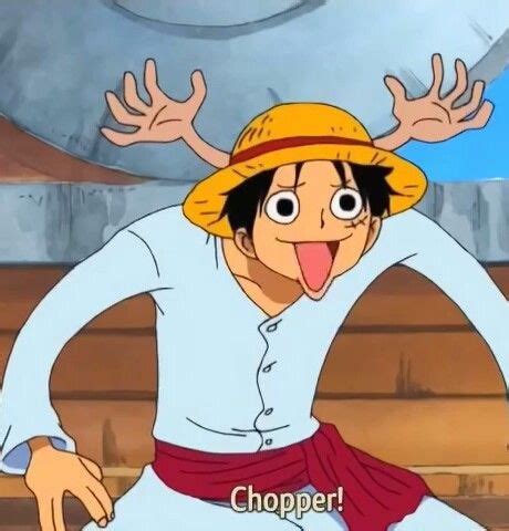 Luffy as Chopper :D | Personagens de anime, Fotos de anime engraçada, Anime