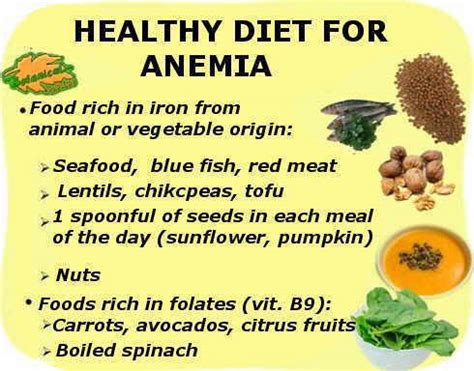 Best type of iron for anemia – Botanical online