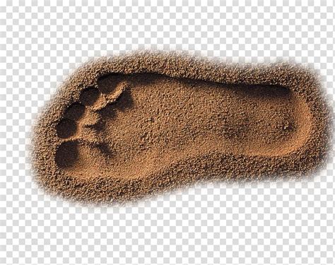 free clipart footprints in the sand 10 free Cliparts | Download images ...