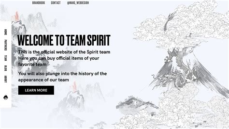 Design for Team Spirit on Behance