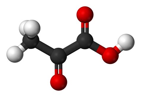 Difference Between Pyruvate and Pyruvic Acid | Compare the Difference ...