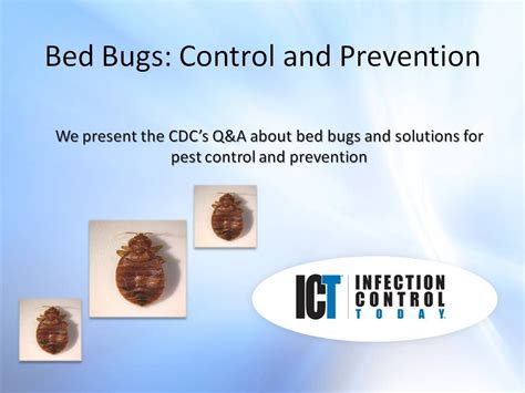 Slide Show: Bed Bugs Control and Prevention