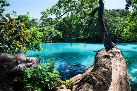 A Glimpse of Paradise in Jamaica!