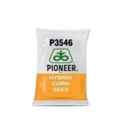 PIONEER AGRO CORN SEED/ MAIZE SEED | AgriSewa.com