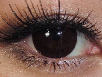 Dark Brown Contacts - eTopical