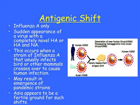 PPT - Influenza PowerPoint Presentation, free download - ID:5609358