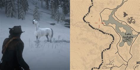 How To Find And Tame The White Arabian Horse In RDR 2