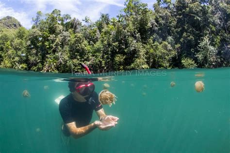 Raja Ampat: where to dive