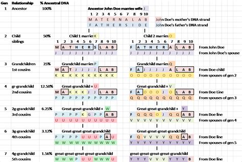 Concepts – How Your Autosomal DNA Identifies Your Ancestors | Dna ...