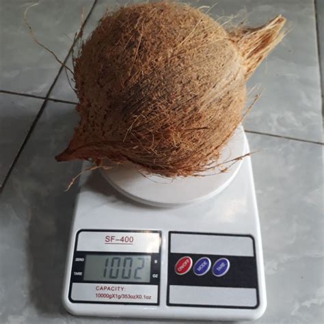 Jual KELAPA TUA KUPAS UTUH 1 BIJI - + 1 KG | Shopee Indonesia