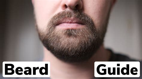 Business Beard Trim | The Complete Guide to Trimming and Maintaining a ...