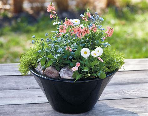 Flower Pot Ideas For Patio | Best Flower Site