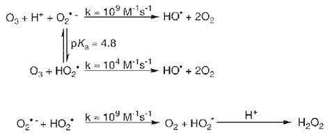 Hydroxyl radical formation from initially formed superoxide. | Download ...