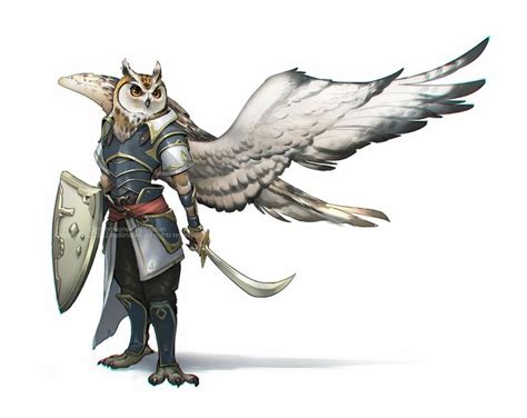 [OC][Art] Owlin Cleric : DnD | Fantasy character design, Character ...