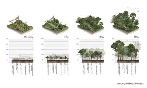 Design For Forest — Landscape Architecture Platform | Landezine