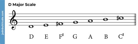 Chords in D Major: A Music Theory Guide