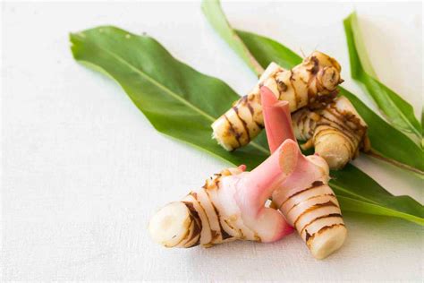 8 Galangal Substitutes - 8 Galangal Substitutes That You Need To Understand