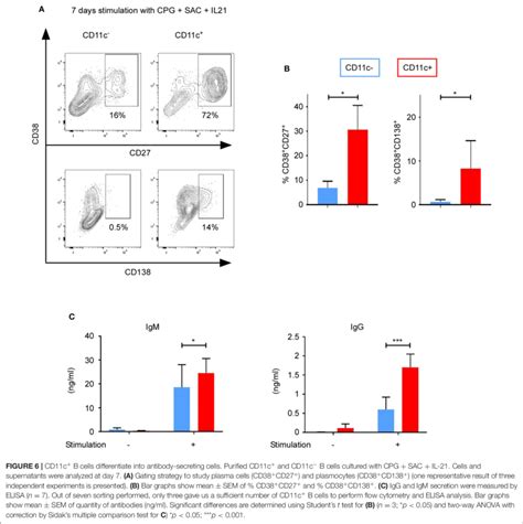 | cytokine genes. (C) CD11c + B cells upregulated CD27, CD11b, and ...