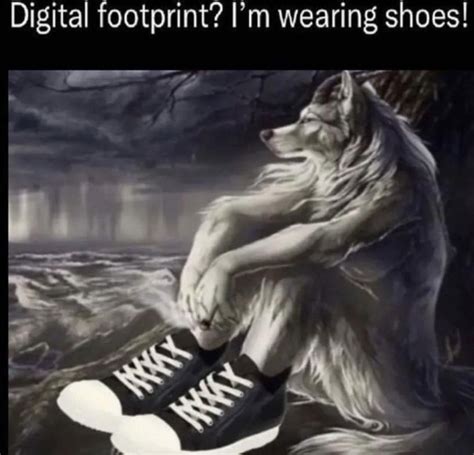 Digital footprint? I'm wearing shoes! | Sitting Wolf | Know Your Meme