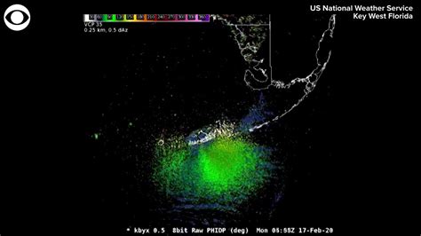 WEB EXTRA: Migrating Birds Show Up On Weather Radar - YouTube