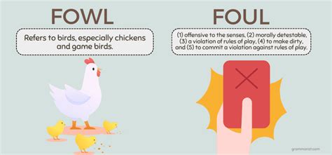 Foul vs. Fowl - Difference & Meaning