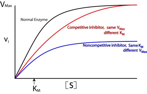 Noncompetitive Enzyme Inhibitors