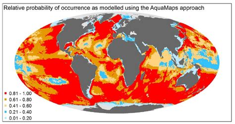 Modelled distribution map for the sperm whale. | Download Scientific ...