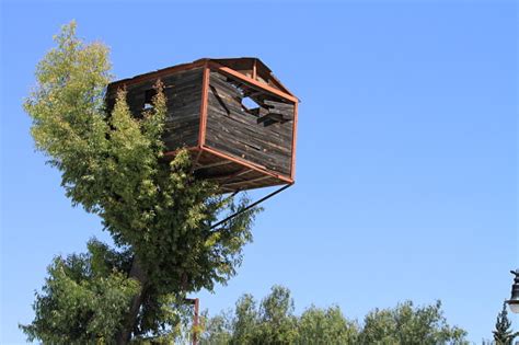 Broken Treehouse Stock Photo - Download Image Now - Blue, Building ...