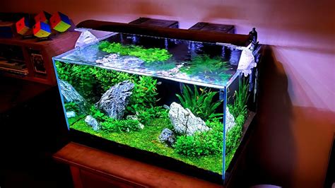 Best Substrate for Planted Aquariums - YouTube