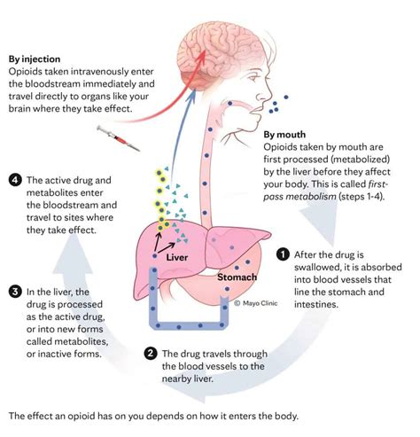 What exactly are opioids? - Mayo Clinic Press