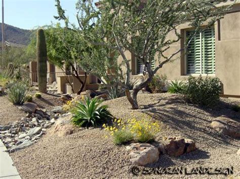 19 best ideas about Desert Landscaping Front Yard on Pinterest | Agaves ...