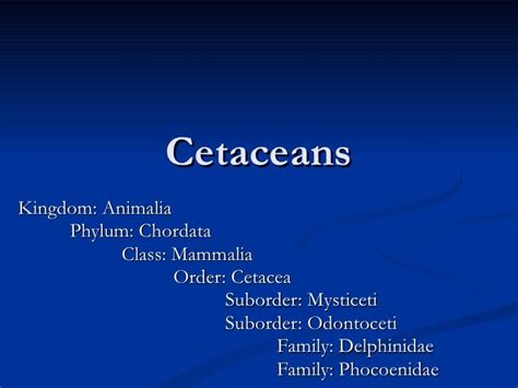 18. Order Cetacea Notes