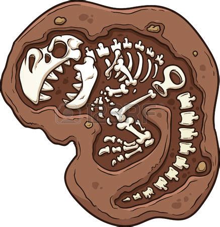 Fossils clipart - Clipground