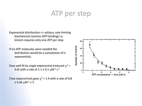 PPT - Kinesin hydrolyses one ATP per 8-nm step PowerPoint Presentation ...