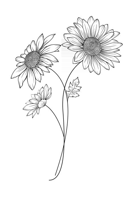 Daisy Flower Outline Daisy LIne Art Line Drawing chamomile outline ...