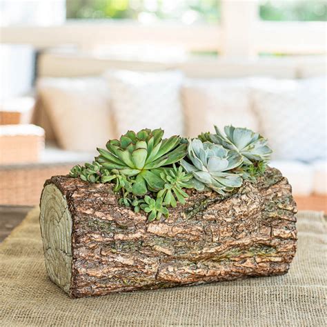 Buy Log Planter | Nature Inspired Garden Decor | Breck's Gifts