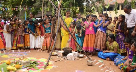 Pongal 2025, India - Venue, Date & Photos