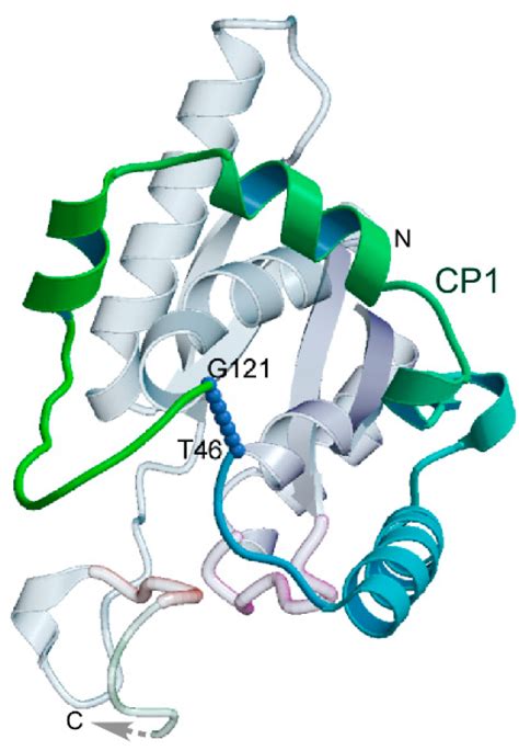 Life | Special Issue : The Origins and Early Evolution of RNA