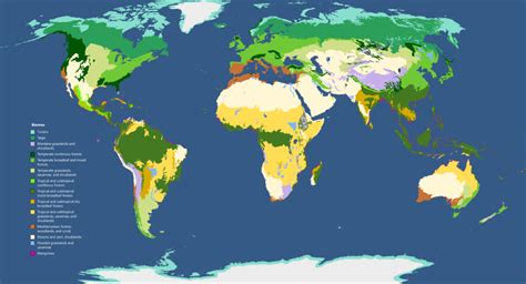 Wetlands Biome Map