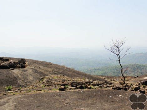 Ayyampara Hills, Erattupetta, Kerala. | Outdoor Adventures in India