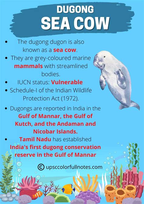 First ever Dugong reserve in India to help protect species - UPSC ...