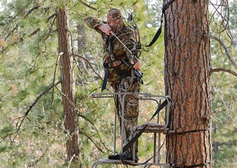 Bow Hunting Tips-Some Quick Tips to Make You a Better Bowhunter