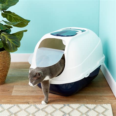 The 5 Best Litter Boxes For Multiple Cats | Our #1 Pick For 2023