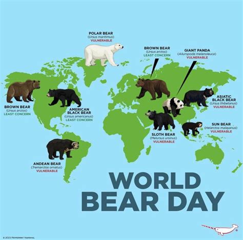 World map of the bear population - Vivid Maps