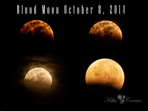 Blood Moon — Kiki's Corner Photography