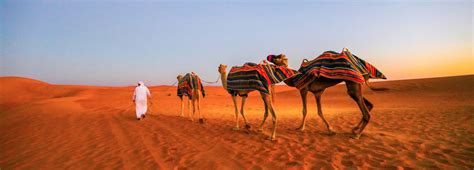 The Complete Dubai Desert Safari Guide - Tickets, Tips, Reviews & More