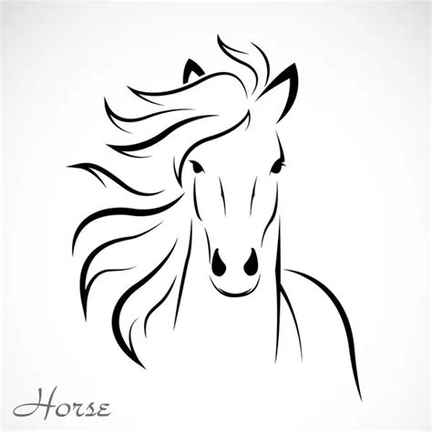 Arabian horse Stock Vectors, Royalty Free Arabian horse Illustrations ...